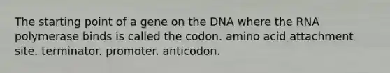 The starting point of a gene on the DNA where the RNA polymerase binds is called the codon. amino acid attachment site. terminator. promoter. anticodon.