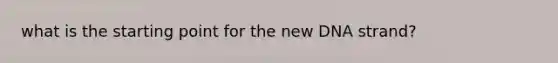 what is the starting point for the new DNA strand?