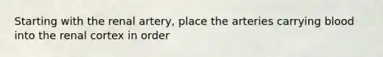 Starting with the renal artery, place the arteries carrying blood into the renal cortex in order