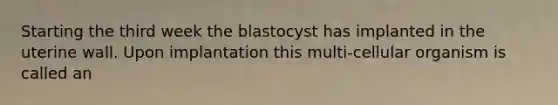 Starting the third week the blastocyst has implanted in the uterine wall. Upon implantation this multi-cellular organism is called an