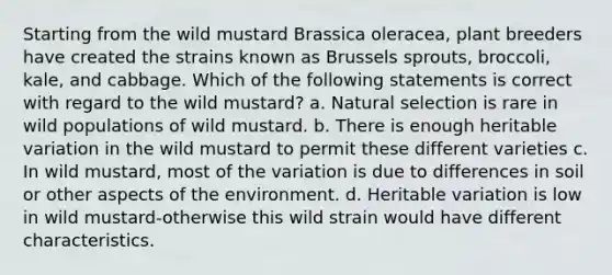 Starting from the wild mustard Brassica oleracea, plant breeders have created the strains known as Brussels sprouts, broccoli, kale, and cabbage. Which of the following statements is correct with regard to the wild mustard? a. Natural selection is rare in wild populations of wild mustard. b. There is enough heritable variation in the wild mustard to permit these different varieties c. In wild mustard, most of the variation is due to differences in soil or other aspects of the environment. d. Heritable variation is low in wild mustard-otherwise this wild strain would have different characteristics.