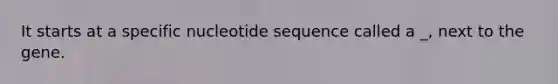 It starts at a specific nucleotide sequence called a _, next to the gene.