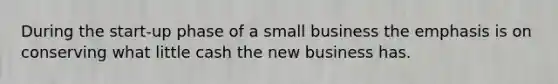 During the start-up phase of a small business the emphasis is on conserving what little cash the new business has.