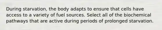 During starvation, the body adapts to ensure that cells have access to a variety of fuel sources. Select all of the biochemical pathways that are active during periods of prolonged starvation.