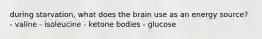 during starvation, what does the brain use as an energy source? - valine - isoleucine - ketone bodies - glucose