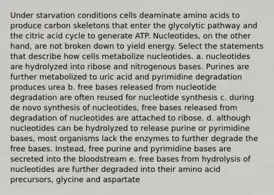 Under starvation conditions cells deaminate amino acids to produce carbon skeletons that enter the glycolytic pathway and the citric acid cycle to generate ATP. Nucleotides, on the other hand, are not broken down to yield energy. Select the statements that describe how cells metabolize nucleotides. a. nucleotides are hydrolyzed into ribose and nitrogenous bases. Purines are further metabolized to uric acid and pyrimidine degradation produces urea b. free bases released from nucleotide degradation are often reused for nucleotide synthesis c. during de novo synthesis of nucleotides, free bases released from degradation of nucleotides are attached to ribose. d. although nucleotides can be hydrolyzed to release purine or pyrimidine bases, most organisms lack the enzymes to further degrade the free bases. Instead, free purine and pyrimidine bases are secreted into the bloodstream e. free bases from hydrolysis of nucleotides are further degraded into their amino acid precursors, glycine and aspartate