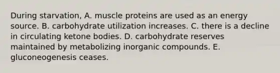 During starvation, A. muscle proteins are used as an energy source. B. carbohydrate utilization increases. C. there is a decline in circulating ketone bodies. D. carbohydrate reserves maintained by metabolizing inorganic compounds. E. gluconeogenesis ceases.