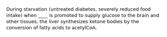 During starvation (untreated diabetes, severely reduced food intake) when ____ is promoted to supply glucose to the brain and other tissues, the liver synthesizes ketone bodies by the conversion of fatty acids to acetylCoA.