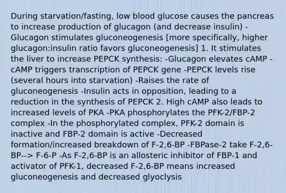 During starvation/fasting, low blood glucose causes <a href='https://www.questionai.com/knowledge/kITHRba4Cd-the-pancreas' class='anchor-knowledge'>the pancreas</a> to increase production of glucagon (and decrease insulin) -Glucagon stimulates gluconeogenesis [more specifically, higher glucagon:insulin ratio favors gluconeogenesis] 1. It stimulates the liver to increase PEPCK synthesis: -Glucagon elevates cAMP -cAMP triggers transcription of PEPCK gene -PEPCK levels rise (several hours into starvation) -Raises the rate of gluconeogenesis -Insulin acts in opposition, leading to a reduction in the synthesis of PEPCK 2. High cAMP also leads to increased levels of PKA -PKA phosphorylates the PFK-2/FBP-2 complex -In the phosphorylated complex, PFK-2 domain is inactive and FBP-2 domain is active -Decreased formation/increased breakdown of F-2,6-BP -FBPase-2 take F-2,6-BP--> F-6-P -As F-2,6-BP is an allosteric inhibitor of FBP-1 and activator of PFK-1, decreased F-2,6-BP means increased gluconeogenesis and decreased glyoclysis