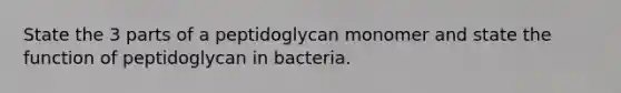 State the 3 parts of a peptidoglycan monomer and state the function of peptidoglycan in bacteria.