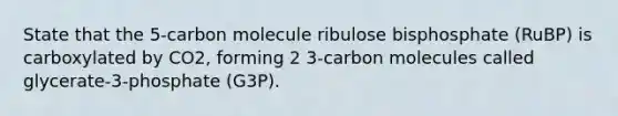 State that the 5-carbon molecule ribulose bisphosphate (RuBP) is carboxylated by CO2, forming 2 3-carbon molecules called glycerate-3-phosphate (G3P).