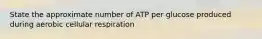 State the approximate number of ATP per glucose produced during aerobic cellular respiration