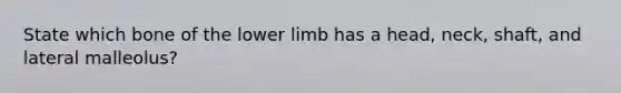 State which bone of the lower limb has a head, neck, shaft, and lateral malleolus?