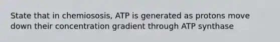 State that in chemiososis, ATP is generated as protons move down their concentration gradient through ATP synthase