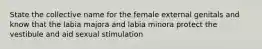 State the collective name for the female external genitals and know that the labia majora and labia minora protect the vestibule and aid sexual stimulation