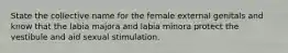 State the collective name for the female external genitals and know that the labia majora and labia minora protect the vestibule and aid sexual stimulation.