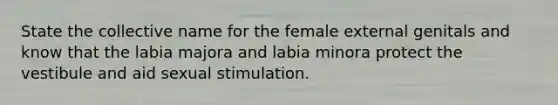 State the collective name for the female external genitals and know that the labia majora and labia minora protect the vestibule and aid sexual stimulation.