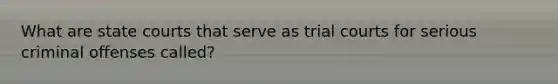 What are state courts that serve as trial courts for serious criminal offenses called?