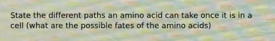 State the different paths an amino acid can take once it is in a cell (what are the possible fates of the amino acids)