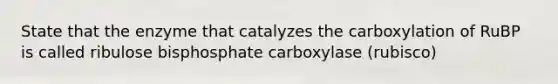 State that the enzyme that catalyzes the carboxylation of RuBP is called ribulose bisphosphate carboxylase (rubisco)