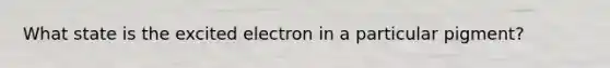 What state is the excited electron in a particular pigment?