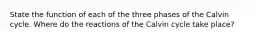 State the function of each of the three phases of the Calvin cycle. Where do the reactions of the Calvin cycle take place?