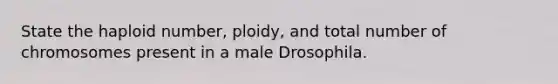 State the haploid number, ploidy, and total number of chromosomes present in a male Drosophila.