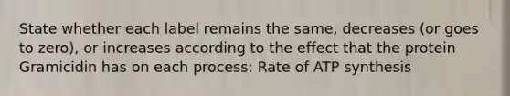 State whether each label remains the same, decreases (or goes to zero), or increases according to the effect that the protein Gramicidin has on each process: Rate of ATP synthesis