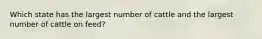 Which state has the largest number of cattle and the largest number of cattle on feed?