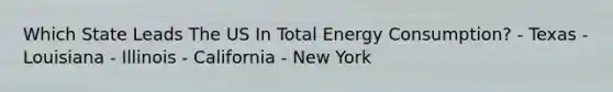 Which State Leads The US In Total Energy Consumption? - Texas - Louisiana - Illinois - California - New York