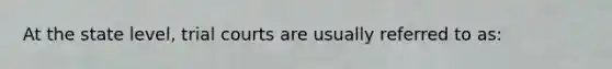 At the state level, trial courts are usually referred to as: