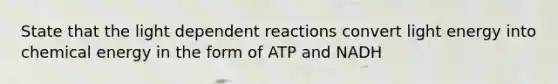 State that the light dependent reactions convert light energy into chemical energy in the form of ATP and NADH