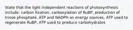 State that the light independent reactions of photosynthesis include: carbon fixation, carboxylation of RuBP, production of triose phosphate, ATP and NADPH as energy sources, ATP used to regenerate RuBP, ATP used to produce carbohydrates