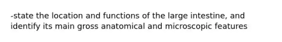 -state the location and functions of the large intestine, and identify its main gross anatomical and microscopic features