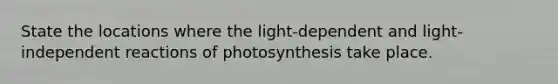 State the locations where the light-dependent and light-independent reactions of photosynthesis take place.