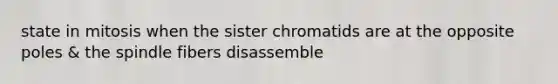 state in mitosis when the sister chromatids are at the opposite poles & the spindle fibers disassemble