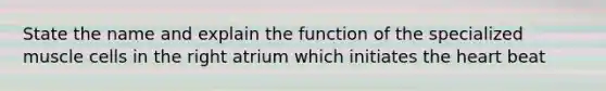 State the name and explain the function of the specialized muscle cells in the right atrium which initiates the heart beat