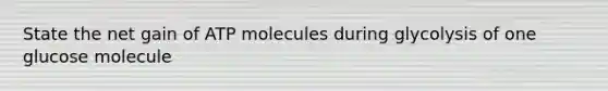 State the net gain of ATP molecules during glycolysis of one glucose molecule