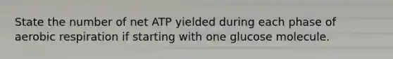 State the number of net ATP yielded during each phase of aerobic respiration if starting with one glucose molecule.