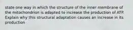 state one way in which the structure of the inner membrane of the mitochondrion is adapted to increase the production of ATP. Explain why this structural adaptation causes an increase in its production