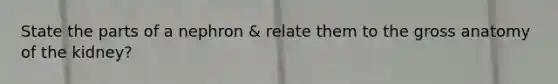 State the parts of a nephron & relate them to the gross anatomy of the kidney?