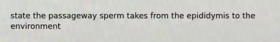 state the passageway sperm takes from the epididymis to the environment