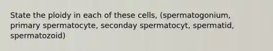 State the ploidy in each of these cells, (spermatogonium, primary spermatocyte, seconday spermatocyt, spermatid, spermatozoid)