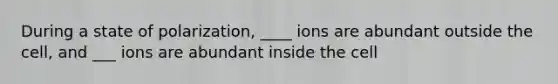 During a state of polarization, ____ ions are abundant outside the cell, and ___ ions are abundant inside the cell