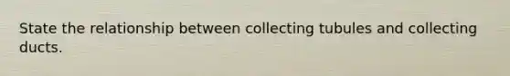 State the relationship between collecting tubules and collecting ducts.