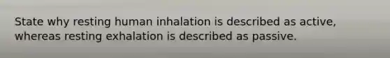 State why resting human inhalation is described as active, whereas resting exhalation is described as passive.