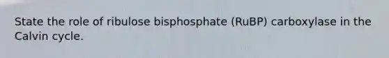 State the role of ribulose bisphosphate (RuBP) carboxylase in the Calvin cycle.