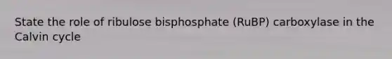 State the role of ribulose bisphosphate (RuBP) carboxylase in the Calvin cycle