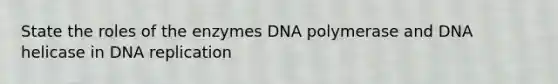 State the roles of the enzymes DNA polymerase and DNA helicase in DNA replication