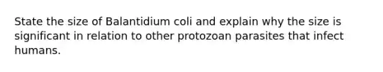 State the size of Balantidium coli and explain why the size is significant in relation to other protozoan parasites that infect humans.